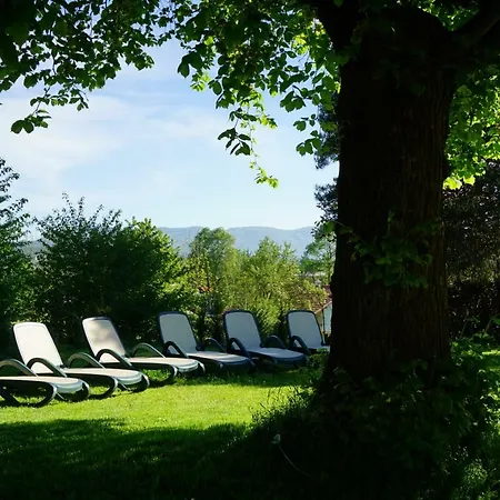 Amberger Hof Hotel 3*